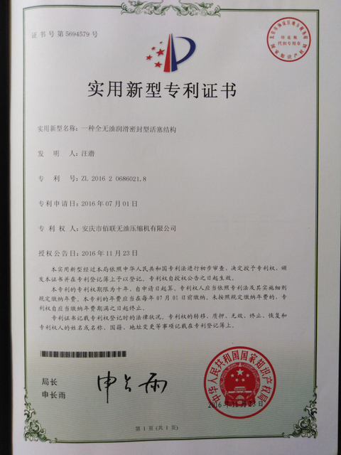 一种全无油润滑密封型活塞结构（1）